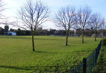 Remnants of Hadleigh Common