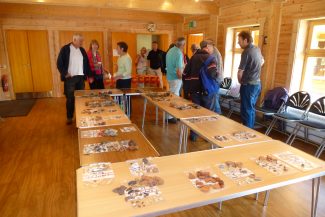 Finds set out on the day in St Michael's Community Room for public viewing | Photo by Malcolm Brown