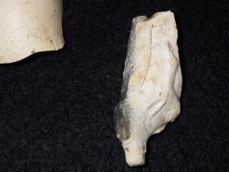 Clay Pipe With Fox (Missing Head) and Grapes Made in London 1800-1830 Clay Pipe With Fox (Missing Head) and Grapes Made in London 1800-1830 | AGES AHA