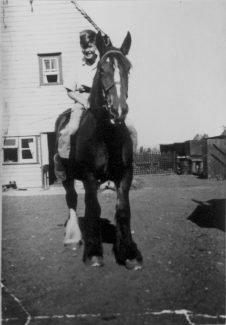 From the road looking down the drive to Burches | Richard Hills family collection