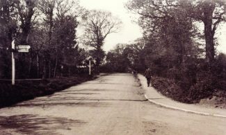 Bread & Cheese Hill from the junction of Kenneth Road