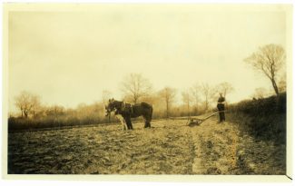 Lone ploughman at Daws Heath ca 1925 when the hamlet was still entirely rural.