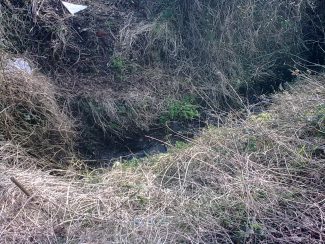 Remains of ditch at the lower end of Castle Lane. | Nick Turner.