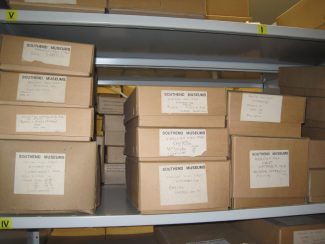 Finds stored in boxes | Lynda Manning