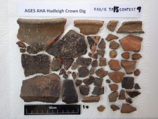 11th to Late 12th Century Essex Medieval Shelly Ware - A Cooking Pot 11th to Late 12th Century Essex Medieval Shelly Ware - A Cooking Pot | AGES AHA