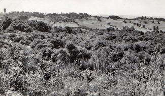 From Thundersley Glen looking east | Collection of Bob Delderfield