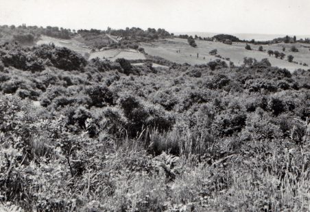 Thundersley Glen Memories