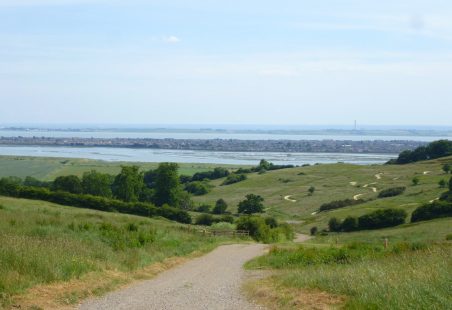 Hadleigh Park's Olympic Legacy