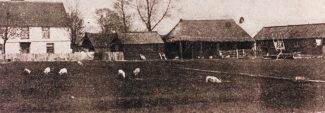 Leigh Park Farm Leigh Park Farm