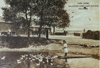 Park Farm pond