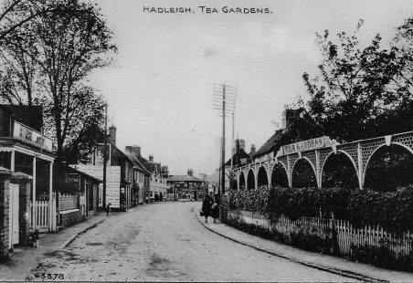 Tea Gardens, Hadleigh
