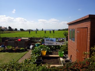 Garden Test Pit Next To Hadleigh Roman Fortlet