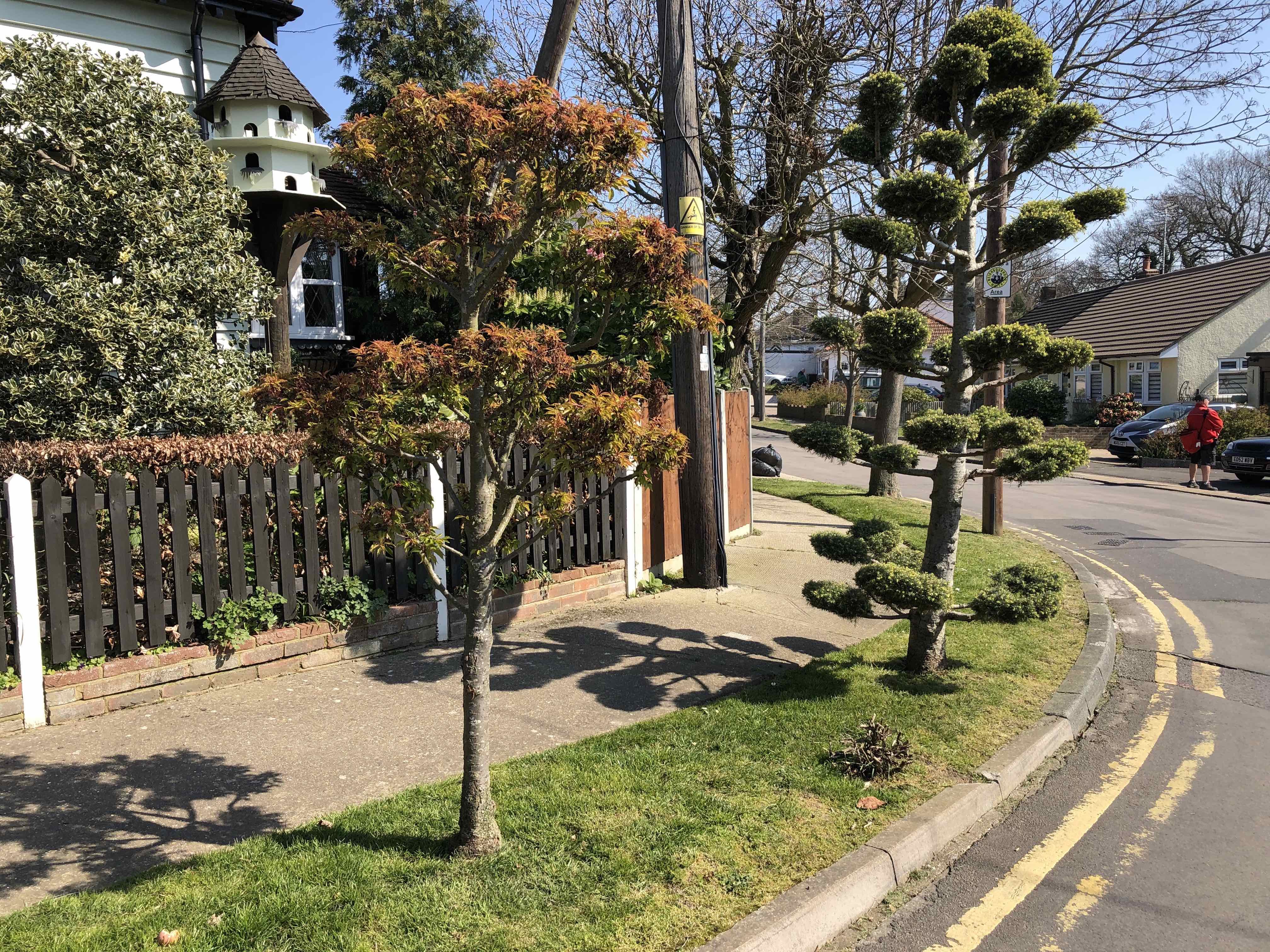 Walk around Daws Heath and Bramble Lane Daws Heath, Lockdown 2020