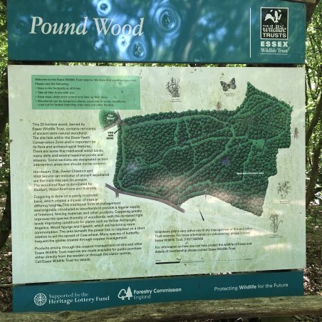 2.Signage Useful signage for Pound Wood. | Graham Cook