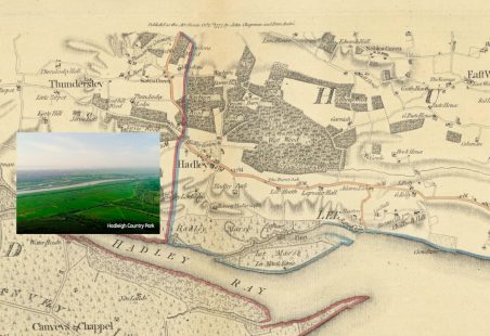 Wonderful Hadleigh Country Park, Essex