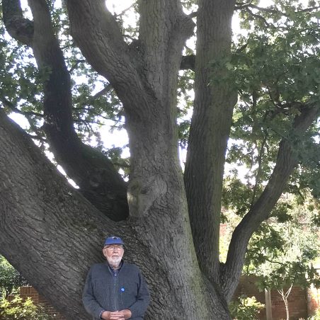 Mighty oak and historian | D Hurrell