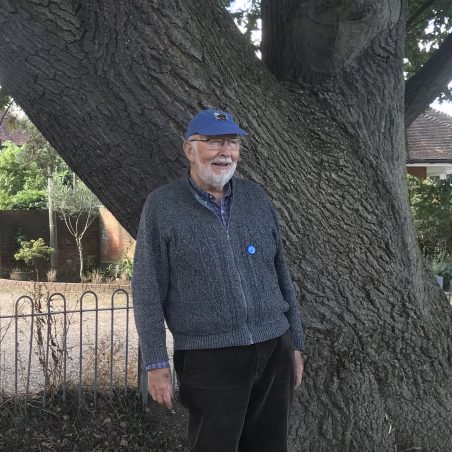 An historian ~ 1.88 metres gives the scale of a large oak in Thundersley | D Hurrell