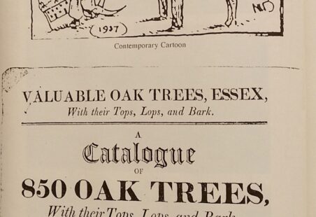 Hadleigh Great Wood: Introduction