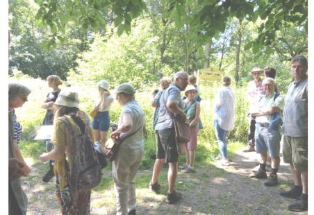 Dr Stovin and Hadleigh Great Wood