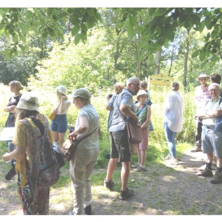 Great Wood Exploration 1 Dr Stovin and Hadleigh Great Wood | Jan Andrews