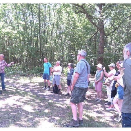 Great Wood Exploration 2 Dr Stovin and Hadleigh Great Wood | Jan Andrews