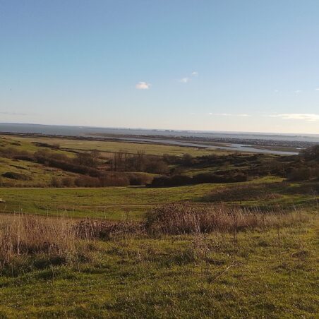 Hadleigh Park 4th January 2026 Down to the Estuary and across | Editors