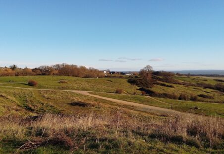 Midwinter views: Hadleigh Park