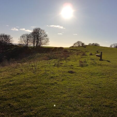 Old scene, new year, Hadleigh Park 4th January 2026 Southwards, click pictures for full views | Editors